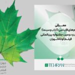 جشنواره فیلم کوتاه تهران آثار اقتباسی را شناخت