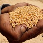 کاهش ماهانه قیمت جهانی مواد غذایی