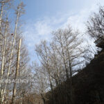 دمای هوای مشهد ۷ درجه کاهش می یابد؛ورود سامانه بارشی