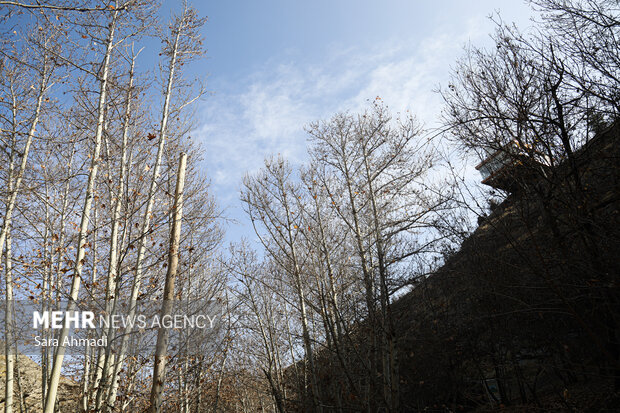 دمای هوای مشهد ۷ درجه کاهش می یابد؛ورود سامانه بارشی