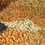 رتبه نخست چهارمحال و بختیاری در صادرات خوراک آبزیان